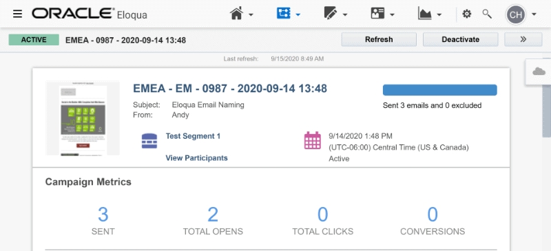 Custom Program Naming in Eloqua